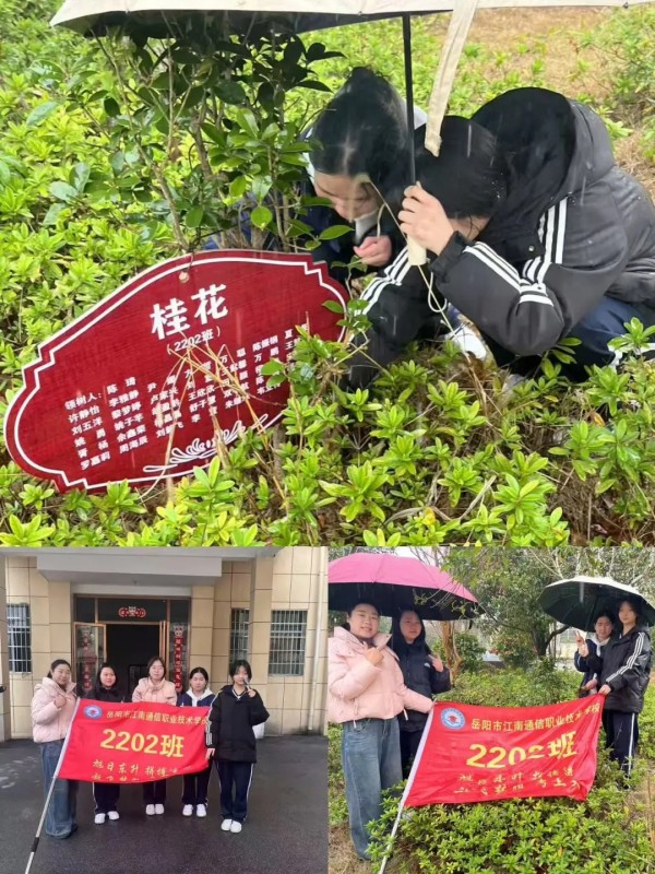 岳陽市江南通信職業技術學校有限公司,岳陽江南學校,岳陽江南通信學校,岳陽職業學校